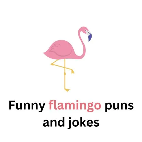 flamingo puns