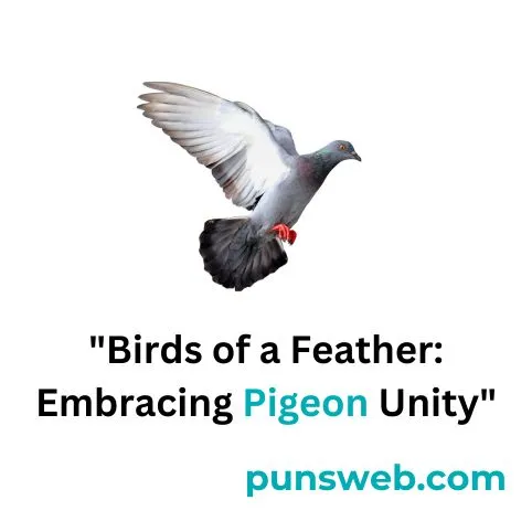 pigeon puns