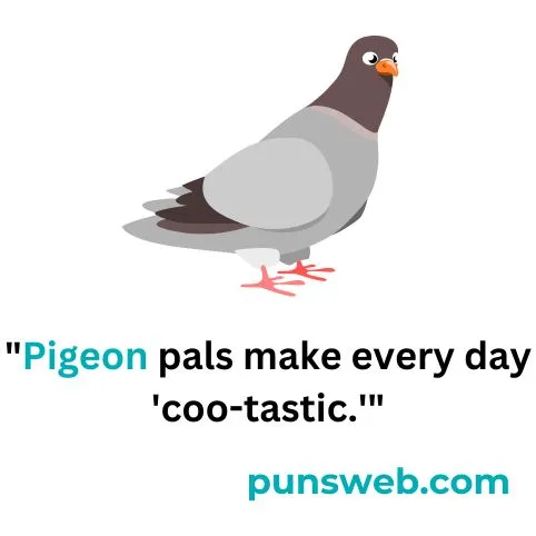 pigeon puns