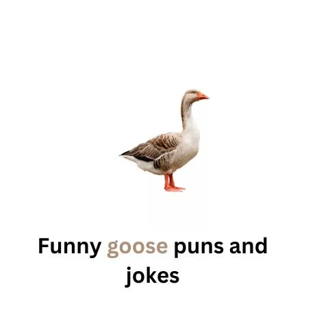 goose puns