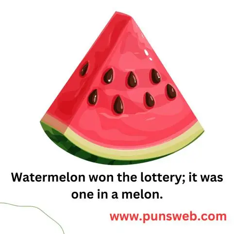 watermelon puns