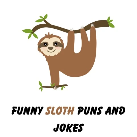 sloth puns
